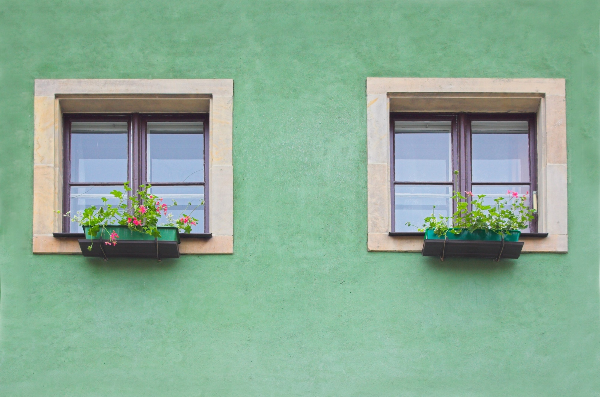 Fenstersanierung in St. Gallen: Besser wohnen, weniger zahlen